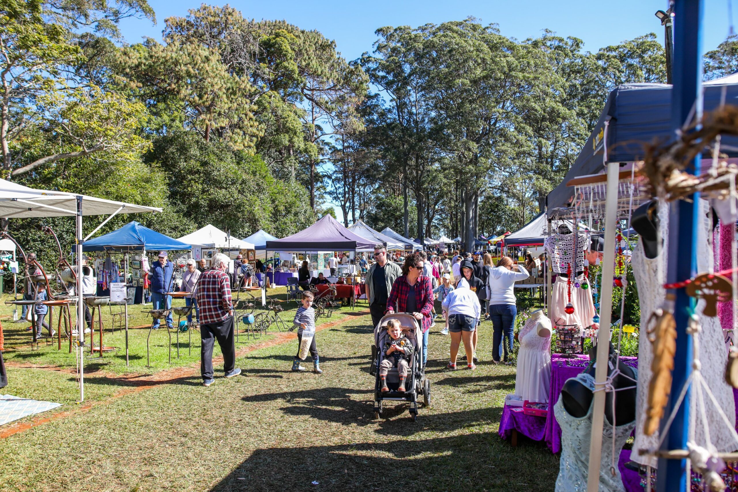 Markets & events Escape to Tamborine Mountain