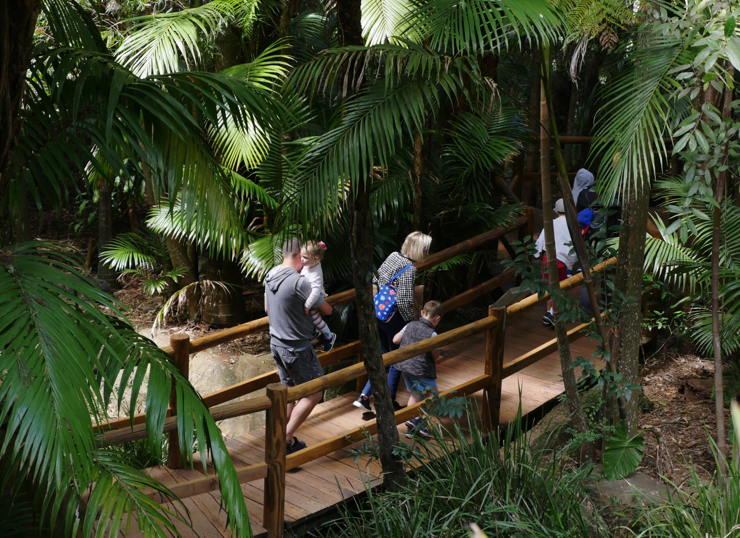 Attractions Escape to Tamborine Mountain