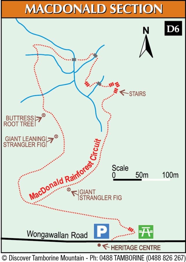 Tamborine Mountain Bushwalking Maps Escape to Tamborine Mountain