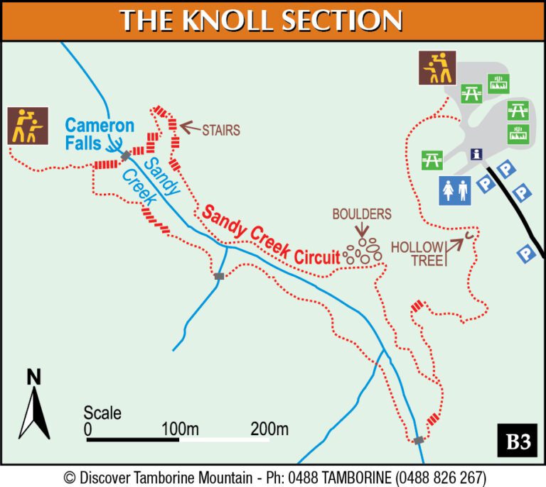 Tamborine Mountain Bushwalking Maps Escape to Tamborine Mountain