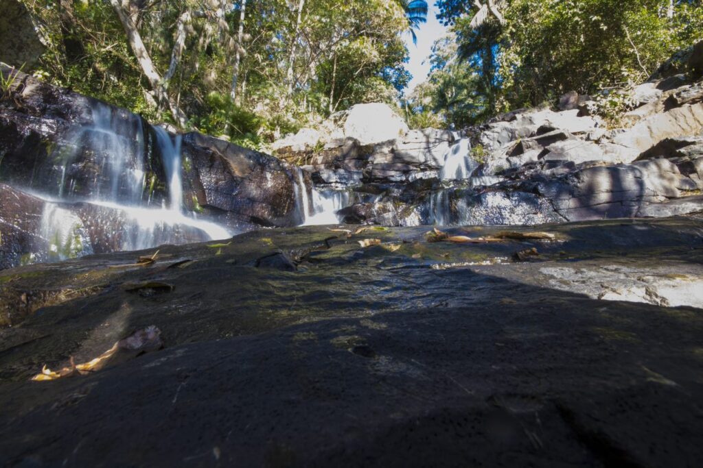 Tamborine Lookouts Escape to Tamborine Mountain