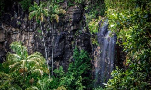 cameron-falls-mount-tamborine-national-park-hinter1