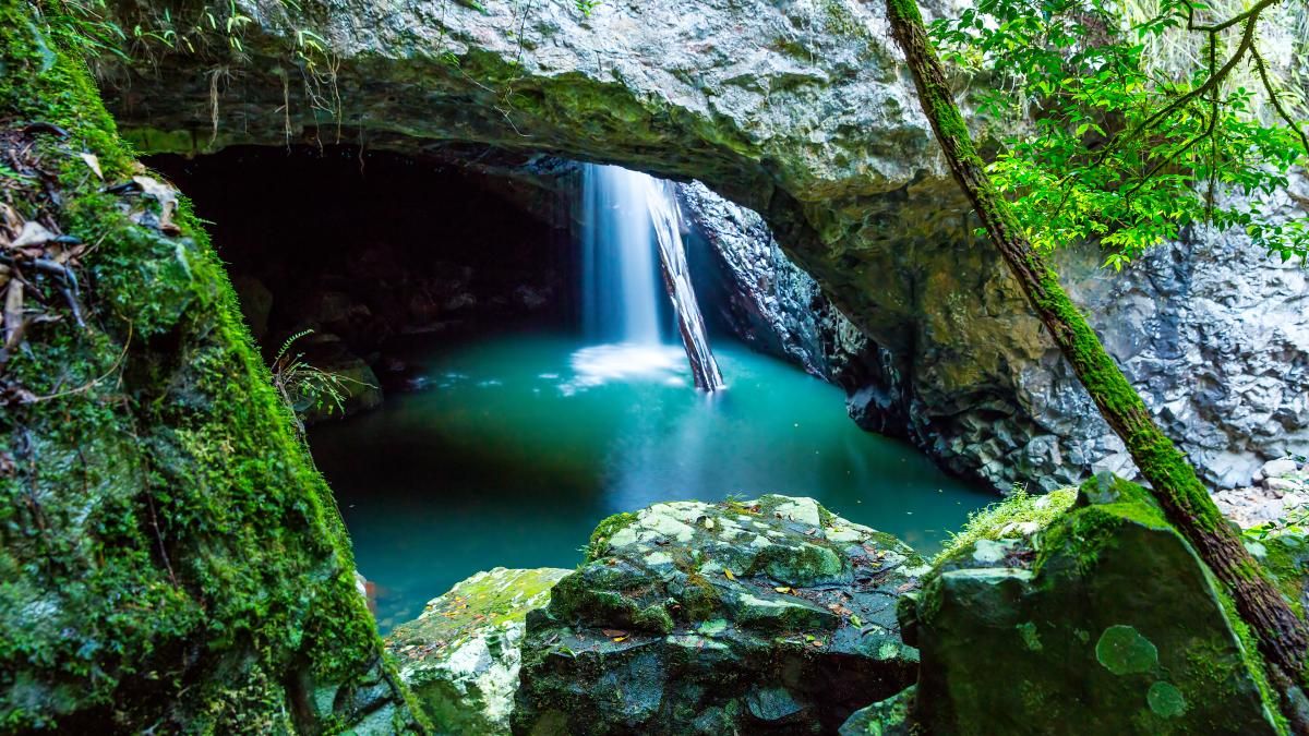 Tamborine Waterfalls & Swimming Holes Escape to Tamborine Mountain